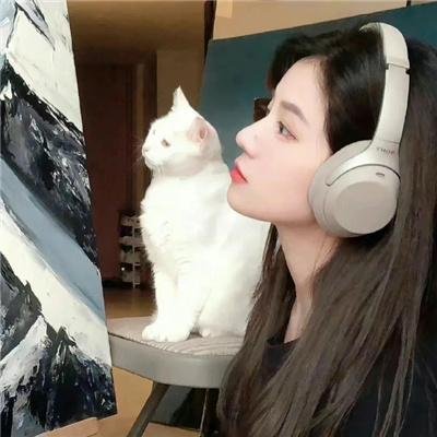 情泪情花