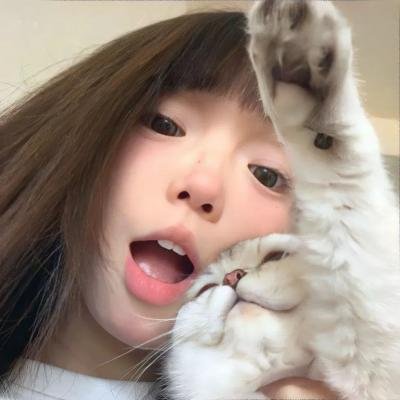 苏菲的厨房